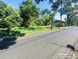 Tanah kosong dekat pasar Padamara,wisata Aquarium Purbalinggag