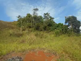 Tanah Murah di pinggir Jalan Raya Bandung-Garut