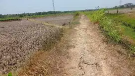 Tanah Sawah hanya 10 menit ke Bandara YIA Kulon Progo