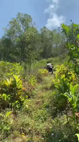 Tanah Kebun Jeruk Gunungsari Bumiaji Kota Batu