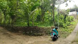 Tanaj Pekarangan 2777m2  Siwalan Sentolo  Kilon Progo