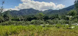 Tanah Perkebunan Produktif Area Lembang