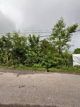 Dijual tanah di jalan utama Jl Gn Payung Kutuh