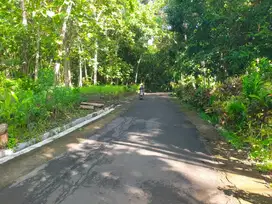 Tanah Pekarangan 450m2 Kepek Pengasih kulon progo