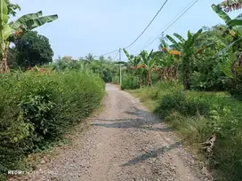 Tanah Pekarangan 220m2 dekat IKIP PGRI kulon progo