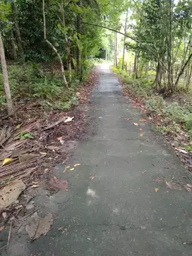 Tanah pekarangan 272m2 dekat lapangan futsal wates kulon progo