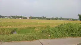 Dijual Tanah siap Bangun untuk Industri di Cikarang Pusat