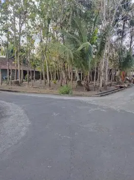 Tanah pekarangan 552m2 Triharjo wates kulon progo
