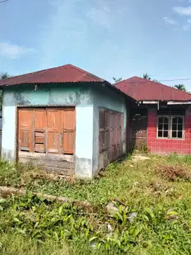 Dijual Tanah Murah Cukup Luas di Batang Kuis