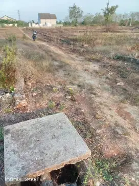 Dijual Tanah Petok D Lokasi Panceng Gresik Depan Gudang Pabrik Arang