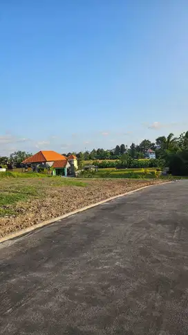 Tanah kavling kecil Murah di Tumbak Bayuh Utara canggu - Bali