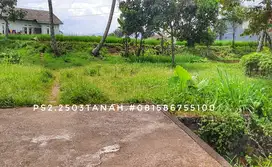 Dijual rumah kolam ikan tanah sawah luas di kota pinggir jalan