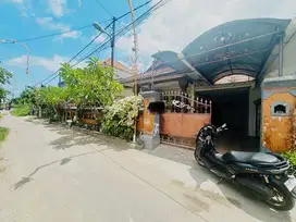RUMAH 1 LANTAI AREA CEKOMARIA DENPASAR UTARA