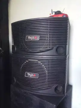 Sepasang Speaker Tasso 10inc