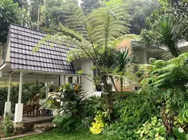 Rumah Villa di atas Bukit  di Dago Giri