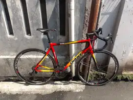 Roadbike Giant tcr comp