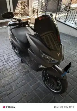 Polytron Fox R mulus