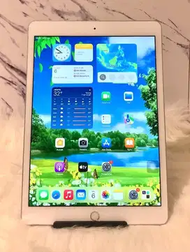 Ipad 8/128 inter wifi only