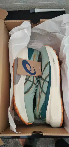 Asics gel kayano 30