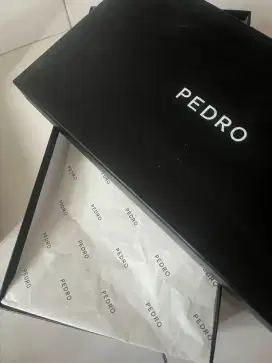 DUS SEPATU PEDRO