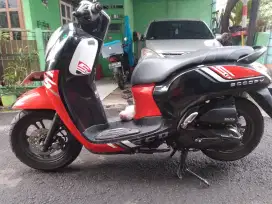 Honda scoopy sporty 2023
