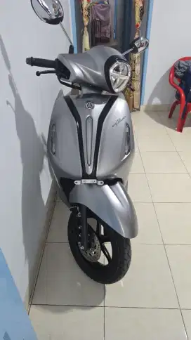 Grand filano 2024