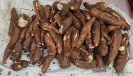Singkong Mentega