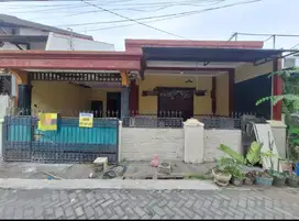 RUMAH DI DAERAH TLOGOSARI JL KAMILITO RAYA SEMARANG