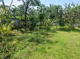 di jual lahan siap bangun/BBS banjir di Ciawi bogor