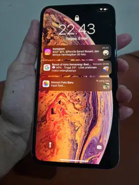 DIJUAL I PHONE XS MAX 256 G MURAH BARANG BAGUS & MULUS NO CACAT.