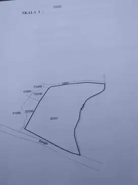DIJUAL TANAH 26 ARE MURAH VIEW SAWAH DI UBUD BALI