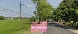 Tanah LD 124 mtr, Jl Raya Propinsi Madiun-NGAWI Mantapp