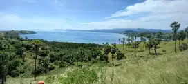 TANAH 3 HA DI TELUK WAECICU TIMUR LABUAN BAJO