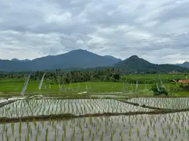 Tanah Kavling sawah Lokasi STRATEGIS TERSEDIA FASILITAS