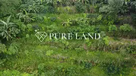 Land in Tamblingan Lake Bedugul