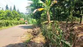 Dijual Cepat TERMURAH Tanah Kebun Duren Montong 1646 m² SHM di Rumpin