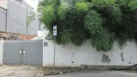 Rumah di Cipete Utara, Kebayoran Baru, Jakarta Selatan
