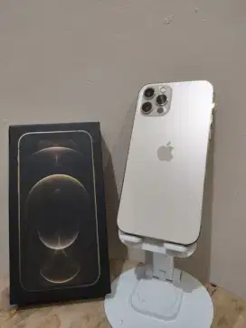 Iphone 12 pro 256Gb Resmi (Setara Ibox)