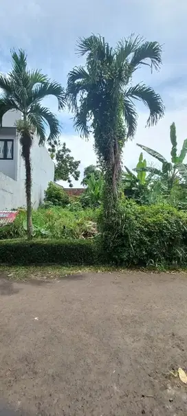 Jual Tanah Kavling siap bangun di Bukit Cimanggu City.