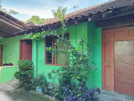 Disewakan rumah jln.wahid hasyim dekat pakuwon mall jogja