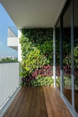 Jasa pembuatan taman pertikal taman kering vertical garden dll #37
