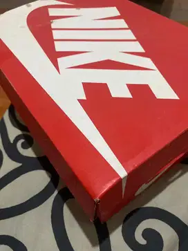 nike dunk low retro