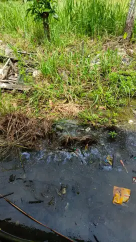 jasa bersih bersih dan potong rumput lainnya