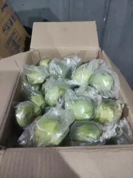 Jambu kristal kebumen