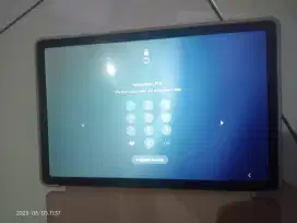 Seken rasa baru
