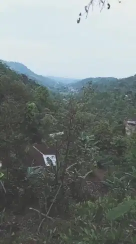 (BU)Tanah Pekarangan deket wisata skyhill kemuning