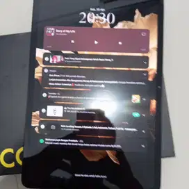 Poco pad 8/256gb mulus like new fullset