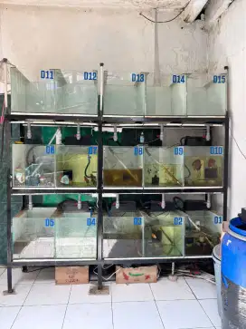 Dijual Fulset rak dan aquarium