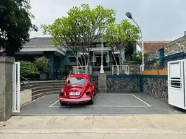 Vw 1303 Kodok Beetle