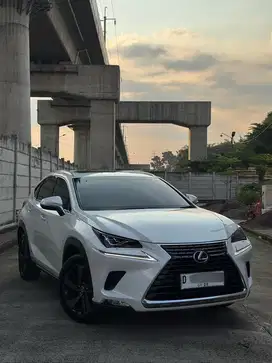 Lexus NX200 2018 low km